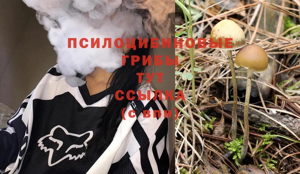 марки nbome Вяземский